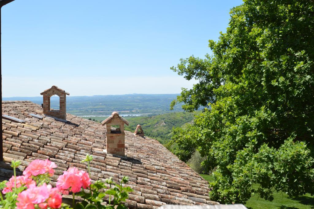 Luxury Villa Colle Dell'Asinello ,Proprietari ,Villa In Esclusiva Near Orvieto Guardea Buitenkant foto