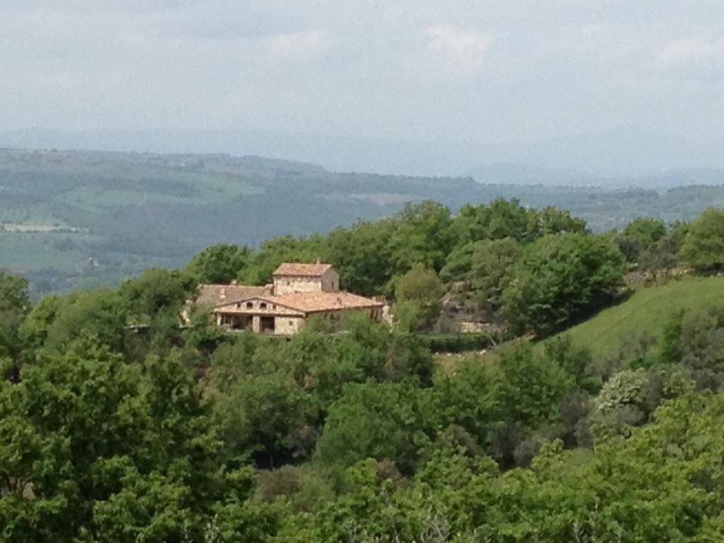Luxury Villa Colle Dell'Asinello ,Proprietari ,Villa In Esclusiva Near Orvieto Guardea Kamer foto