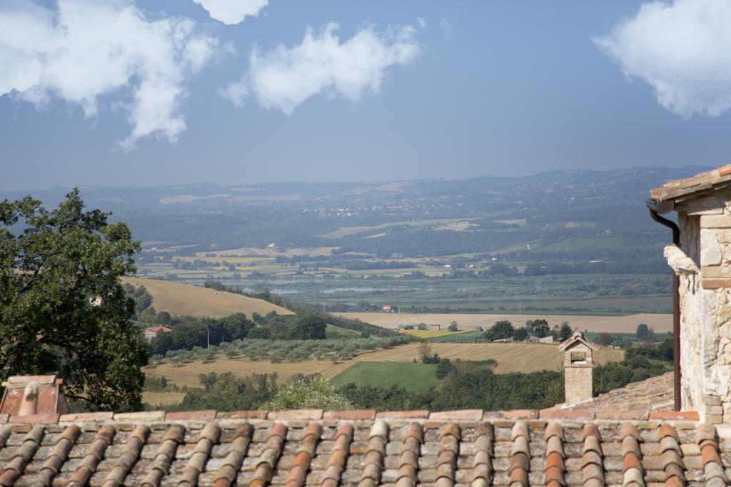 Luxury Villa Colle Dell'Asinello ,Proprietari ,Villa In Esclusiva Near Orvieto Guardea Buitenkant foto